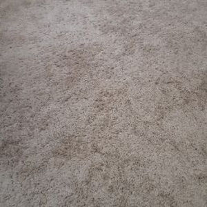 Meet your Posher, Tati